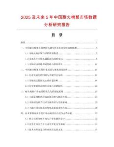 2025及未來5年中國耐火棉絮市場數據分析研究報告
