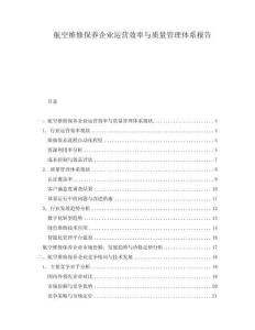 航空維修保養(yǎng)企業(yè)運(yùn)營(yíng)效率與質(zhì)量管理體系報(bào)告