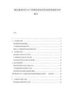 湖北楚商回歸與產(chǎn)業(yè)鏈招商協(xié)同發(fā)展政策跟蹤評(píng)估報(bào)告
