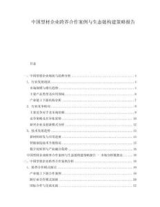 中國型材企業(yè)跨界合作案例與生態(tài)鏈構建策略報告