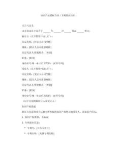 知識(shí)產(chǎn)權(quán)授權(quán)合同（專利版權(quán)轉(zhuǎn)讓）