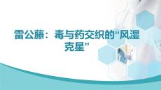 雷公藤：毒與藥交織的風濕克星