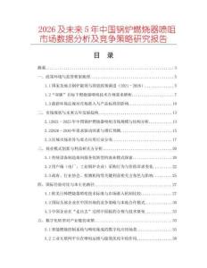 2026及未來5年中國鍋爐燃燒器噴咀市場數(shù)據(jù)分析及競爭策略研究報告
