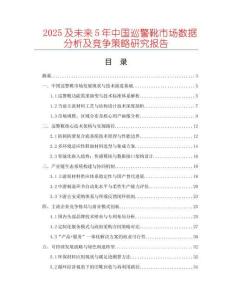 2025及未來5年中國巡警靴市場數據分析及競爭策略研究報告