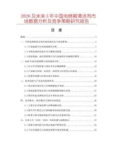 2026及未來5年中國電烤箱清潔劑市場數據分析及競爭策略研究報告
