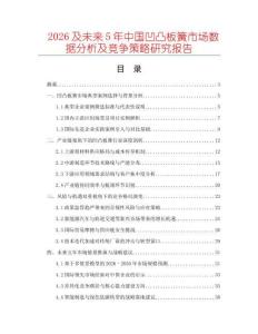 2026及未來(lái)5年中國(guó)凹凸板簧市場(chǎng)數(shù)據(jù)分析及競(jìng)爭(zhēng)策略研究報(bào)告