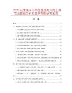 2026及未來(lái)5年中國(guó)星型內(nèi)六角工具市場(chǎng)數(shù)據(jù)分析及競(jìng)爭(zhēng)策略研究報(bào)告
