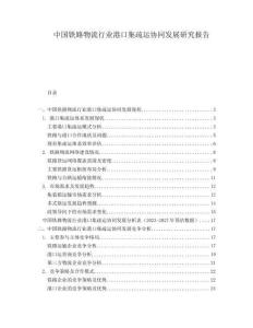 中國鐵路物流行業(yè)港口集疏運協(xié)同發(fā)展研究報告