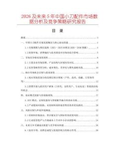 2026及未來5年中國小刀配件市場數(shù)據(jù)分析及競爭策略研究報(bào)告