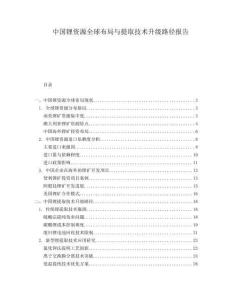 中國(guó)鋰資源全球布局與提取技術(shù)升級(jí)路徑報(bào)告