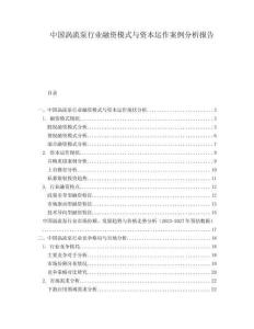 中國渦流泵行業(yè)融資模式與資本運作案例分析報告