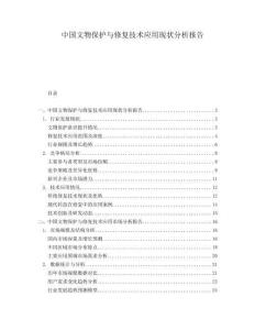 中國文物保護(hù)與修復(fù)技術(shù)應(yīng)用現(xiàn)狀分析報(bào)告