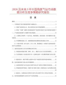 2026及未來5年中國角度氣鉆市場數(shù)據(jù)分析及競爭策略研究報告