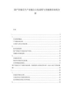 國產(chǎn)存儲芯片產(chǎn)業(yè)鏈自主化進(jìn)程與突破路徑深度分析