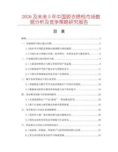 2026及未來5年中國膠衣噴槍市場數據分析及競爭策略研究報告