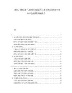2025-2030油氣勘探開發技術應用深度研究競爭格局評估前景發展報告