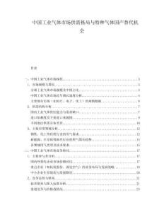 中國工業(yè)氣體市場供需格局與特種氣體國產(chǎn)替代機會