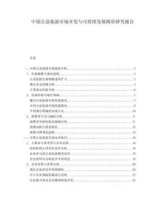 中國(guó)公益旅游市場(chǎng)開(kāi)發(fā)與可持續(xù)發(fā)展路徑研究報(bào)告