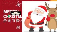 圣誕節(jié)日賀卡 (14)