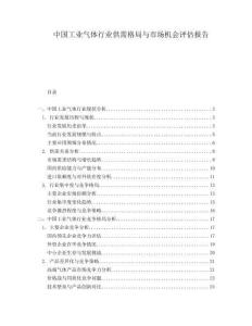中國工業(yè)氣體行業(yè)供需格局與市場機會評估報告