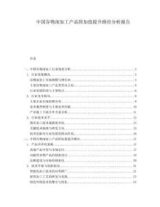 中國(guó)谷物深加工產(chǎn)品附加值提升路徑分析報(bào)告