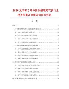 2026及未來5年中國手袋填充氣袋行業(yè)投資前景及策略咨詢研究報告