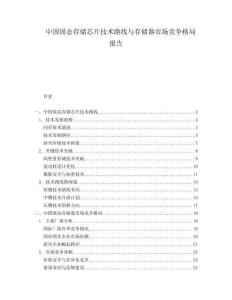 中國固態(tài)存儲芯片技術(shù)路線與存儲器市場競爭格局報告