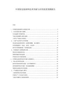 中國(guó)軟包裝材料技術(shù)突破與應(yīng)用前景預(yù)測(cè)報(bào)告
