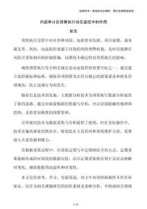 內(nèi)部審計(jì)在預(yù)算執(zhí)行動(dòng)態(tài)監(jiān)控中的作用