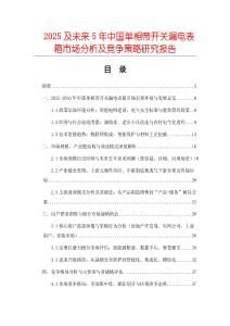 2025及未來5年中國單相帶開關漏電表箱市場分析及競爭策略研究報告