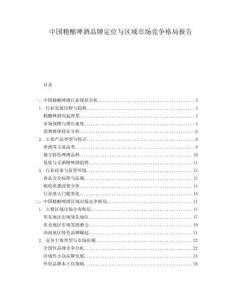 中國精釀啤酒品牌定位與區(qū)域市場競爭格局報告