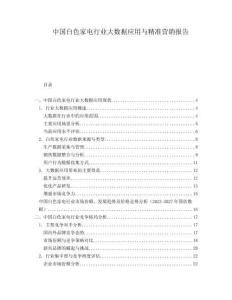 中國白色家電行業大數據應用與精準營銷報告