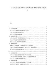 動力電池正極材料技術路線競爭格局與成本對比報告