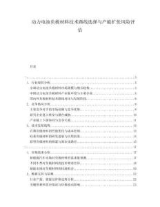 動力電池負極材料技術路線選擇與產能擴張風險評估