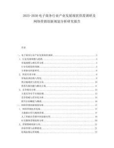 2025-2030電子商務行業(yè)產業(yè)發(fā)展現(xiàn)狀供需調研及網(wǎng)絡營銷創(chuàng)新規(guī)劃分析研究報告