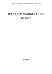 城市供水管網(wǎng)及供水設(shè)施改造提升項(xiàng)目商業(yè)計(jì)劃書