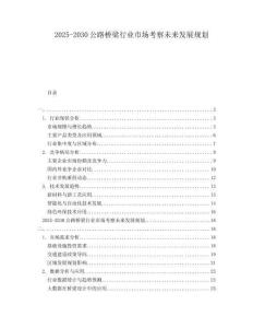 2025-2030公路橋梁行業(yè)市場考察未來發(fā)展規(guī)劃