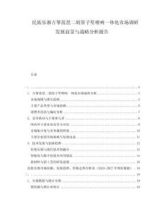 民族樂(lè)器古箏琵琶二胡笛子笙嗩吶一體化市場(chǎng)調(diào)研發(fā)展前景與戰(zhàn)略分析報(bào)告