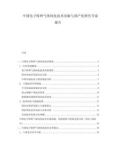 中國電子特種氣體純化技術(shù)突破與國產(chǎn)化替代節(jié)奏報告