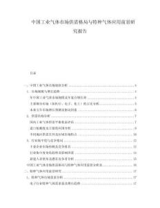 中國工業(yè)氣體市場供需格局與特種氣體應(yīng)用前景研究報告