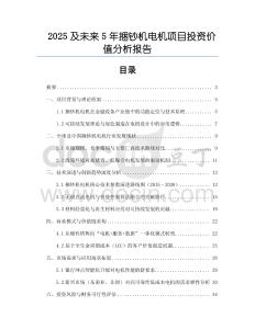 2025及未來5年捆鈔機(jī)電機(jī)項(xiàng)目投資價(jià)值分析報(bào)告