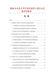 2026及未來5年中國手挽背心袋行業發展研究報告