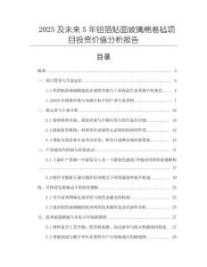 2025及未來5年鋁箔貼面玻璃棉卷氈項目投資價值分析報告