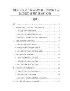 2025及未來5年自動變焦／調光電子閃光燈項目投資價值分析報告