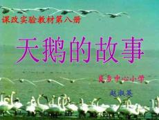 課改實驗教材第八冊