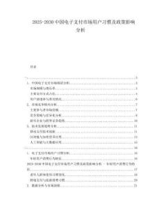 2025-2030中國電子支付市場(chǎng)用戶習(xí)慣及政策影響分析