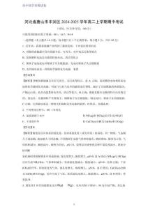 河北省唐山市豐潤(rùn)區(qū)2024-2025學(xué)年高二上學(xué)期期中考試化學(xué)試題（解析版）