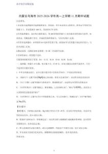 內(nèi)蒙古烏海市2025-2026學(xué)年高一上學(xué)期11月期中考試化學(xué)試題（解析版）