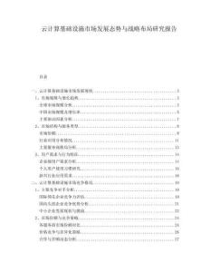 云計算基礎(chǔ)設(shè)施市場發(fā)展態(tài)勢與戰(zhàn)略布局研究報告