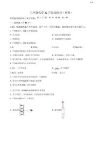 2023-2024學(xué)年廣東廣州南武中學(xué)九年級（上）期末化學(xué)試題含答案